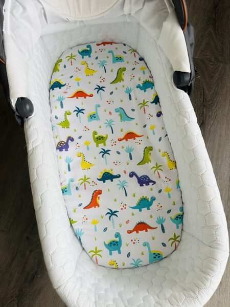 Ratu paladziņš ar gumiju - krāsaini dinozauriņi