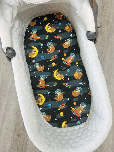 Ratu paladziņš ar gumiju - dzīvnieki kosmosā